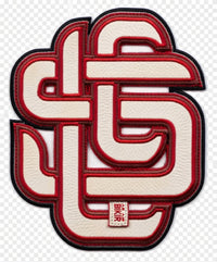 Bike Air Varsity - patch artwork